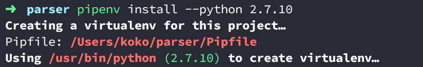 10-pipenv-install-indicate-python-version-by-python-para